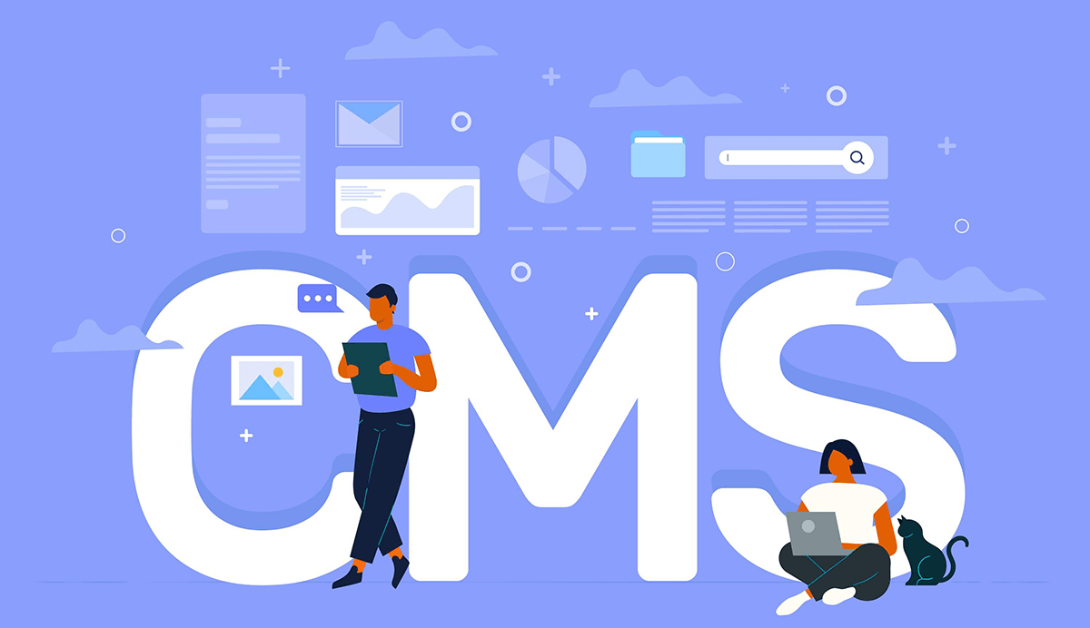 انوع cms