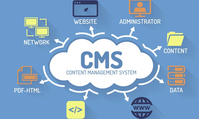 cms چیست