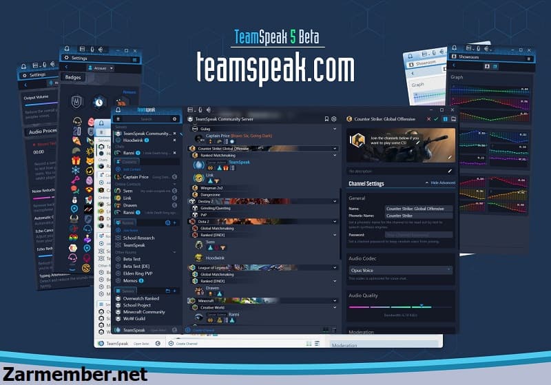 برنامه teamspeak