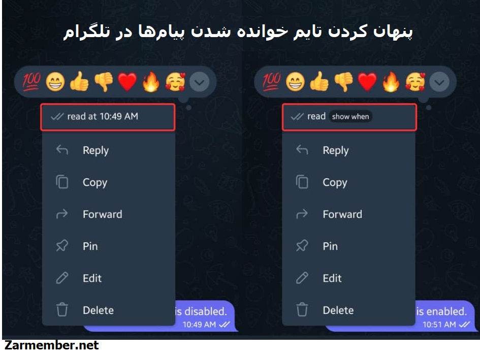 چگونه زمان سین شدن پیام های تلگرام را مخفی کنیم؟