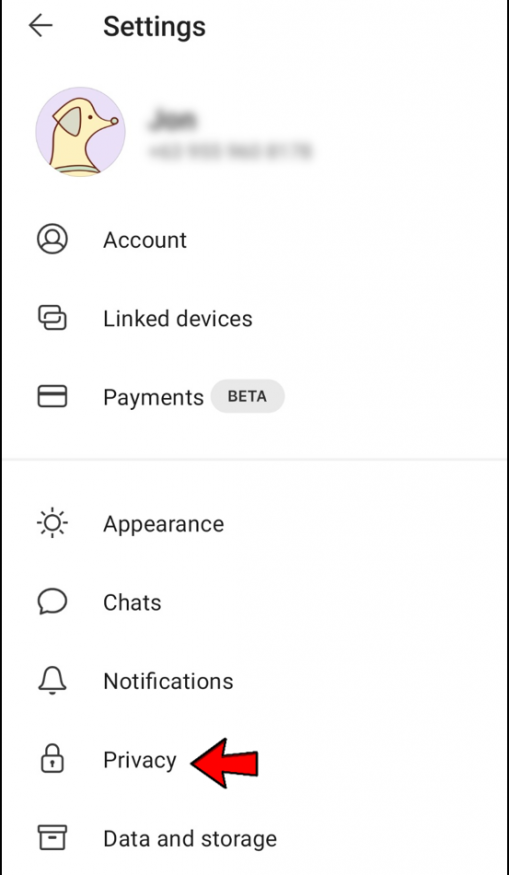 تنظیمات privacy سیگنال